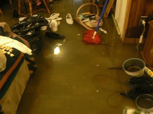 How to Determine the Source of a Flooded Basement in Chicago