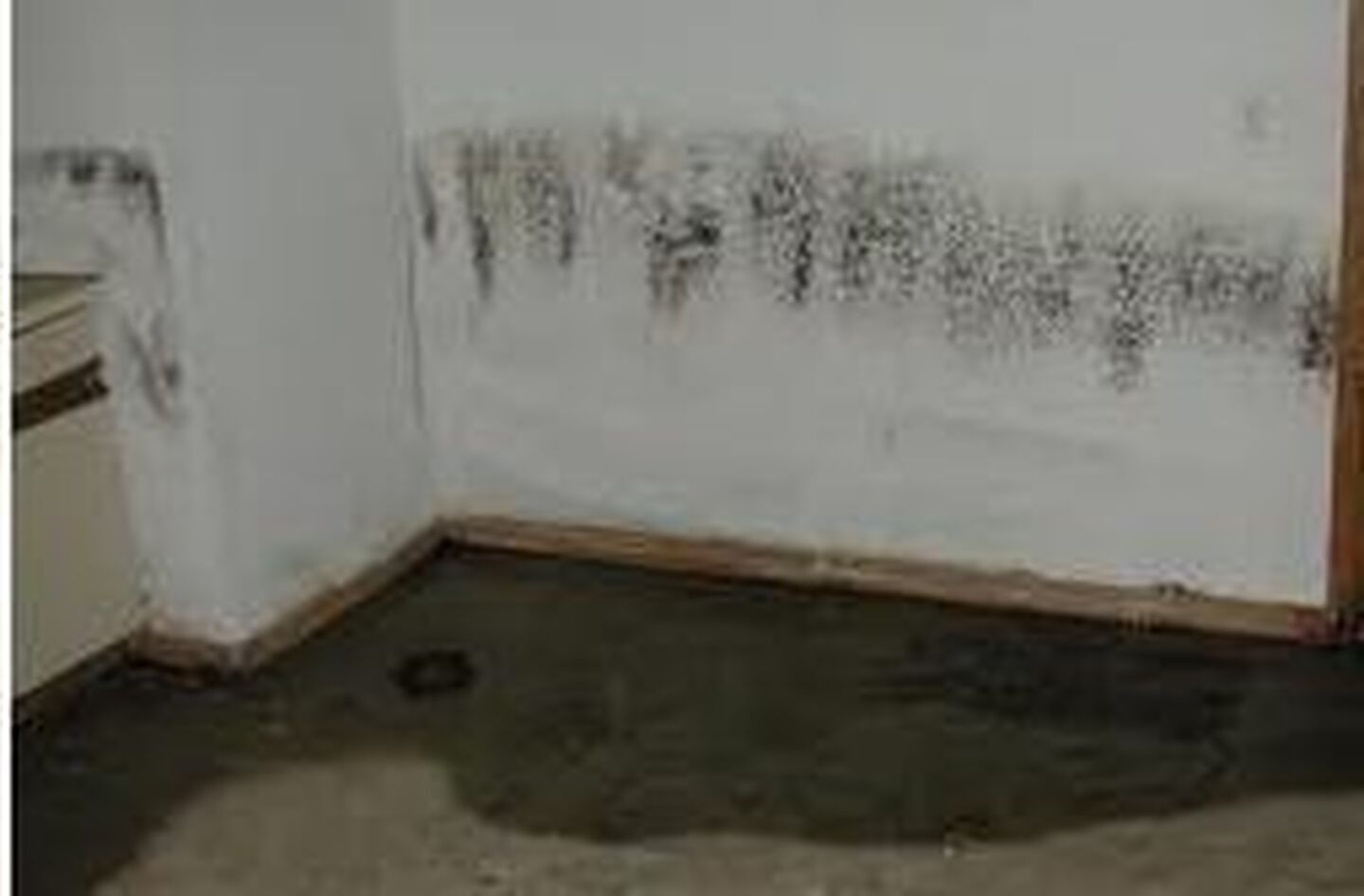 Basement Waterproofing: the Key to Basement Mold Prevention